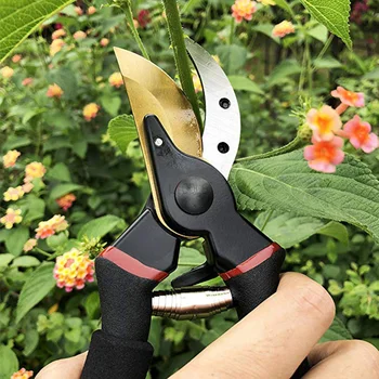 Pruner Bahçe Makası Profesyonel Keskin Bypass Budama Makası Ağaç Kesme Makineleri Secateurs El Makası Bahçe Gaga Makas