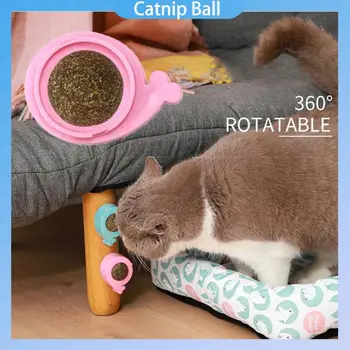 Sağlıklı Kedi Catnip Oyuncak Top Kedi Şeker Yalama Aperatifler Catnip Aperatif Beslenme Enerji Topu Yavru Kedi Oyuncak Pet Şeyler Kedi Malzemeleri