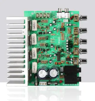 250W + 250W Ses güç amplifikatörü Kurulu HIFI stereo amplifikasyon dijital yankı güç amplifikatörü Ton Kontrolü
