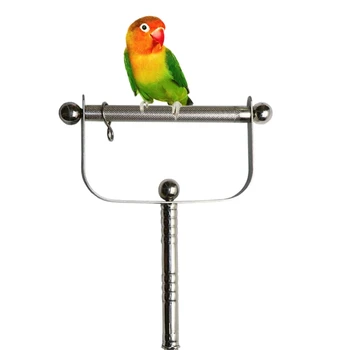Kuş Levrek Standı Paslanmaz Çelik Papağan Levrek Açık El Tırmalama Sopa Ayak Pençe Taşlama Platformu