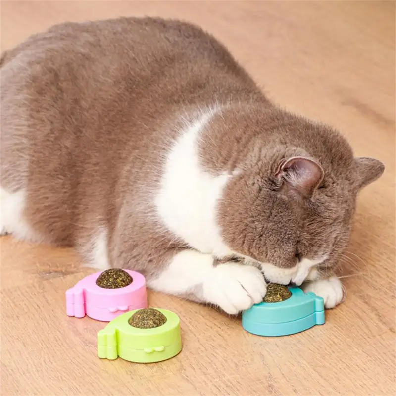 Sağlıklı Kedi Catnip Oyuncak Top Kedi Şeker Yalama Aperatifler Catnip Aperatif Beslenme Enerji Topu Yavru Kedi Oyuncak Pet Şeyler Kedi Malzemeleri